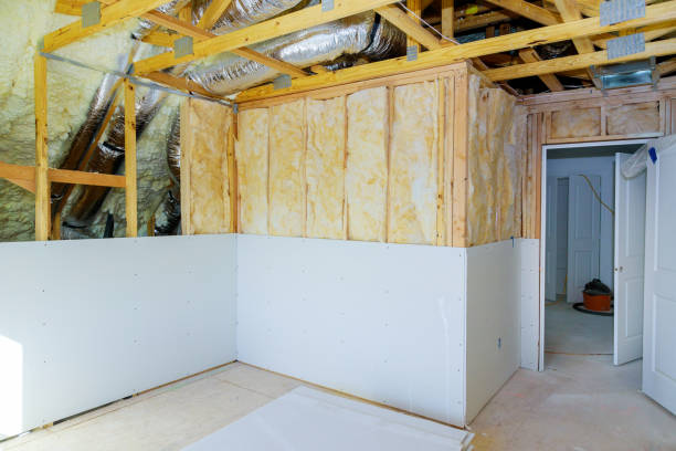 Best Insulation Contractor Near Me  in Bourg, LA
